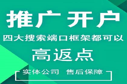 SEM优化策略：实战案例解析